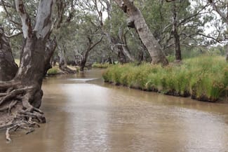 Rural / Farming commercial property for sale at Parkes NSW 2870