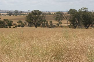 Rural / Farming commercial property for sale at . Madews Jennacubbine WA 6401 Rural / Farming commercial property for sale at . Madews Jennacubbine WA 6401