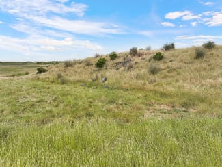 Rural / Farming commercial property for sale at 230 Cockerills Rd Dreeite VIC 3249 Rural / Farming commercial property for sale at 230 Cockerills Rd Dreeite VIC 3249