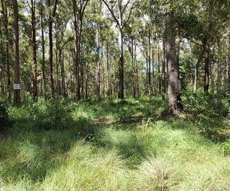 Rural / Farming commercial property sold at CRUMPTON DRIVE Blackbutt QLD 4314 Rural / Farming commercial property sold at CRUMPTON DRIVE Blackbutt QLD 4314