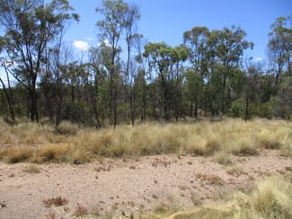 Rural / Farming commercial property sold at Lot 33 Males Drive Tara QLD 4421 Rural / Farming commercial property sold at Lot 33 Males Drive Tara QLD 4421