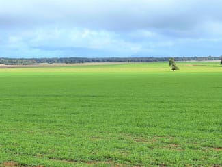 Rural / Farming commercial property for sale at 2648 Old Narrandera Road Currawarna NSW 2650 Rural / Farming commercial property for sale at 2648 Old Narrandera Road Currawarna NSW 2650