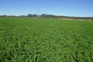 Rural / Farming commercial property for sale at 1521 Sextonville Road Kyogle NSW 2474 Rural / Farming commercial property for sale at 1521 Sextonville Road Kyogle NSW 2474