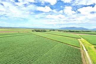 Rural / Farming commercial property for sale at 78 School Road Clare QLD 4807 Rural / Farming commercial property for sale at 78 School Road Clare QLD 4807