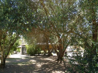 Rural / Farming commercial property sold at 7409 Vasse Highway Carlotta WA 6275