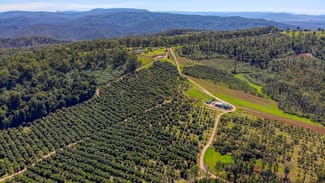 Rural / Farming commercial property for sale at 158 Crescent Hills Road Tabulam NSW 2469 Rural / Farming commercial property for sale at 158 Crescent Hills Road Tabulam NSW 2469