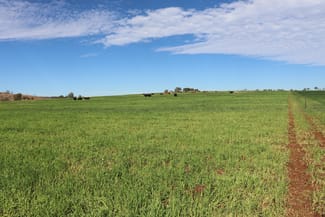 Rural / Farming commercial property sold at 319 Back Glenrae Road Glenrae QLD 4626 Rural / Farming commercial property sold at 319 Back Glenrae Road Glenrae QLD 4626