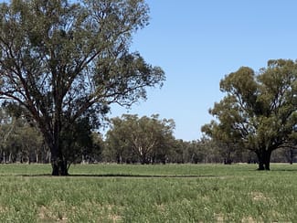Rural / Farming commercial property sold at 2 Kelvin Lane Forbes NSW 2871 Rural / Farming commercial property sold at 2 Kelvin Lane Forbes NSW 2871