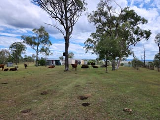 Rural / Farming commercial property sold at 62 Wild Deer Drive Blackbutt QLD 4314 Rural / Farming commercial property sold at 62 Wild Deer Drive Blackbutt QLD 4314