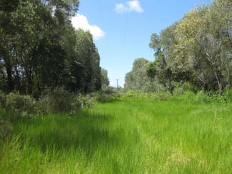 Rural / Farming commercial property sold at - Bluff Road Bilyana QLD 4854