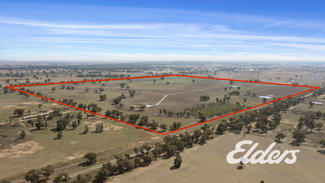 Rural / Farming commercial property for sale at Savernake Road Mulwala NSW 2647 Rural / Farming commercial property for sale at Savernake Road Mulwala NSW 2647