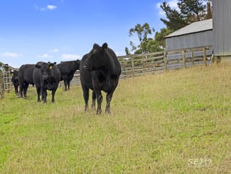 Rural / Farming commercial property sold at 110 Forresters Road Wooreen VIC 3953 Rural / Farming commercial property sold at 110 Forresters Road Wooreen VIC 3953
