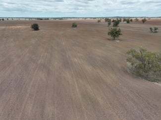 Rural / Farming commercial property for sale at 'Weemala' 2075 The McGrane Way Tullamore NSW 2874