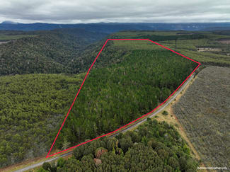 Rural / Farming commercial property for sale at Murchison Highway Parrawe TAS 7321 Rural / Farming commercial property for sale at Murchison Highway Parrawe TAS 7321