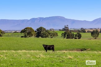 Rural / Farming commercial property for sale at Better Route Road Moyston VIC 3377 Rural / Farming commercial property for sale at Better Route Road Moyston VIC 3377