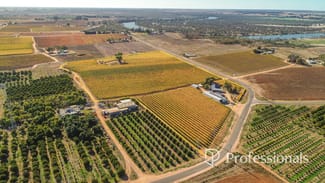 Rural / Farming commercial property for sale at 431 Woomera Avenue Red Cliffs VIC 3496 Rural / Farming commercial property for sale at 431 Woomera Avenue Red Cliffs VIC 3496