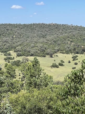 Rural / Farming commercial property for sale at 1020 Bramble Rd Warrumbungle NSW 2828