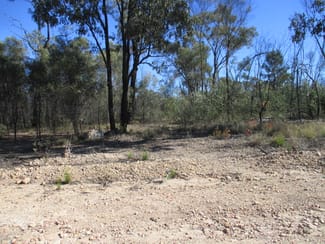 Rural / Farming commercial property sold at Lot 29 Dahlkes Road Tara QLD 4421