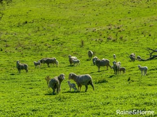 Rural / Farming commercial property for sale at 2306 Bigga Road Bigga NSW 2583