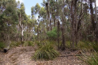 Rural / Farming commercial property for sale at 158 Blundstones Road Whitemark TAS 7255 Rural / Farming commercial property for sale at 158 Blundstones Road Whitemark TAS 7255