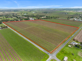 Rural / Farming commercial property for sale at Lot 351 Angaston Road Nuriootpa SA 5355