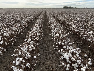 Rural / Farming commercial property for sale at Part Farm 1082, 1386 Murrami Road Leeton NSW 2705
