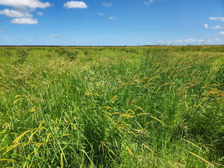 Rural / Farming commercial property sold at 458 Dimond Road, BEAVER ROCK Maryborough QLD 4650