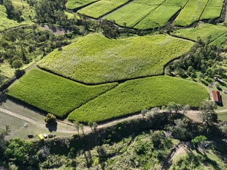 Rural / Farming commercial property sold at Lot 2 Thornes Road Finch Hatton QLD 4756 Rural / Farming commercial property sold at Lot 2 Thornes Road Finch Hatton QLD 4756