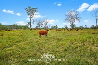 Rural / Farming commercial property for sale at 150 & 154, 764 Hodzic Road Biboohra QLD 4880 Rural / Farming commercial property for sale at 150 & 154, 764 Hodzic Road Biboohra QLD 4880