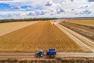 Rural / Farming commercial property for sale at 4005 Lachlan Valley Way Forbes NSW 2871