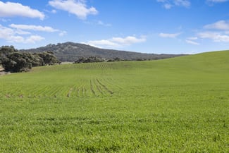 Rural / Farming commercial property sold at 'Gum View Hills' Gorge Road Pekina SA 5431
