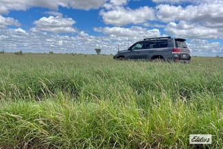 Rural / Farming commercial property for sale at 13724 Mitchell - St George Road St George QLD 4487