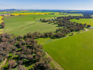 Rural / Farming commercial property for sale at 6 Dudauman Road Stockinbingal NSW 2725