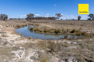 Rural / Farming commercial property sold at Lot 75 Wells Crossing Road Inverell NSW 2360 Rural / Farming commercial property sold at Lot 75 Wells Crossing Road Inverell NSW 2360