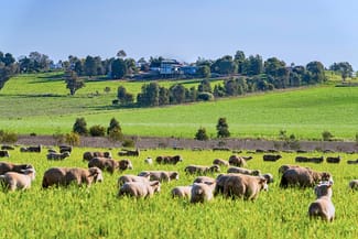 Rural / Farming commercial property sold at Upside Farm, 104 Flowerdale Road Wagga Wagga NSW 2650 Rural / Farming commercial property sold at Upside Farm, 104 Flowerdale Road Wagga Wagga NSW 2650