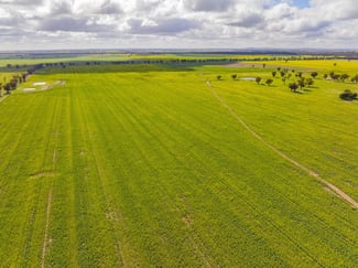 Rural / Farming commercial property for sale at Lonsdale Lane Coolamon NSW 2701 Rural / Farming commercial property for sale at Lonsdale Lane Coolamon NSW 2701