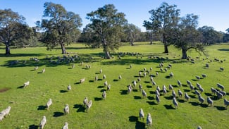 Rural / Farming commercial property for sale at 252 Wannon Nigretta Road Wannon VIC 3301 Rural / Farming commercial property for sale at 252 Wannon Nigretta Road Wannon VIC 3301