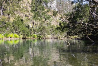 Rural / Farming commercial property sold at Lot 201 Paddys Flat Road Tooloom NSW 2475