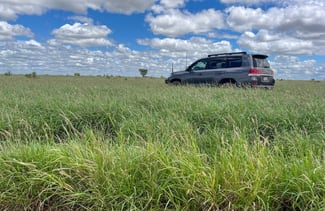 Rural / Farming commercial property for sale at 13724 Mitchell-St George Road St George QLD 4487 Rural / Farming commercial property for sale at 13724 Mitchell-St George Road St George QLD 4487