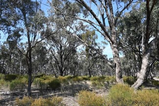 Rural / Farming commercial property for sale at 17, A KURTING KINGOWER ROAD Kingower VIC 3517 Rural / Farming commercial property for sale at 17, A KURTING KINGOWER ROAD Kingower VIC 3517