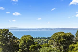 Rural / Farming commercial property for sale at 145 Musk Creek Road Flinders VIC 3929 Rural / Farming commercial property for sale at 145 Musk Creek Road Flinders VIC 3929