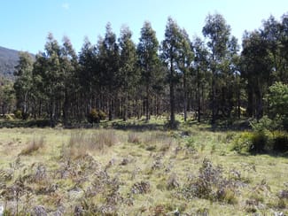 Rural / Farming commercial property sold at 2140066, 2140066 Hop Valley Road Blackwood Creek TAS 7301