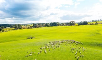 Rural / Farming commercial property for sale at 149 Kellys Road Grenville VIC 3352 Rural / Farming commercial property for sale at 149 Kellys Road Grenville VIC 3352
