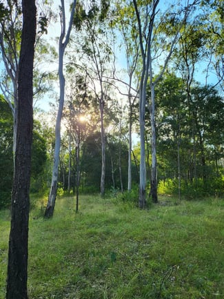 Rural / Farming commercial property sold at 244 Old Esk North Road South East Nanango QLD 4615