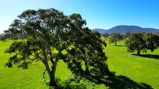 Rural / Farming commercial property for sale at 102 Hillman Road Middle Creek VIC 3375