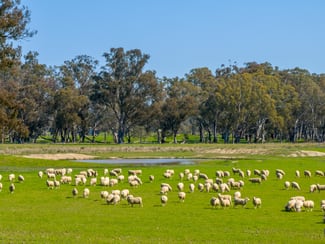 Rural / Farming commercial property sold at 1213 Geodetic Road Euroa VIC 3666 Rural / Farming commercial property sold at 1213 Geodetic Road Euroa VIC 3666