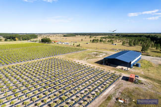 Rural / Farming commercial property for sale at Caboolture QLD 4510 Rural / Farming commercial property for sale at Caboolture QLD 4510