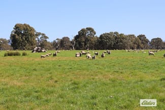Rural / Farming commercial property for sale at CA 91a 91b Mitchell Street Glenthompson VIC 3293 Rural / Farming commercial property for sale at CA 91a 91b Mitchell Street Glenthompson VIC 3293