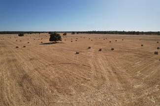 Rural / Farming commercial property for sale at 'Boree Glen' 456 Whymarks Lane Tullibigeal NSW 2669