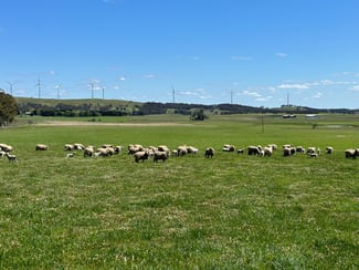 Rural / Farming commercial property for sale at Gurrundah Road Gunning NSW 2581 Rural / Farming commercial property for sale at Gurrundah Road Gunning NSW 2581